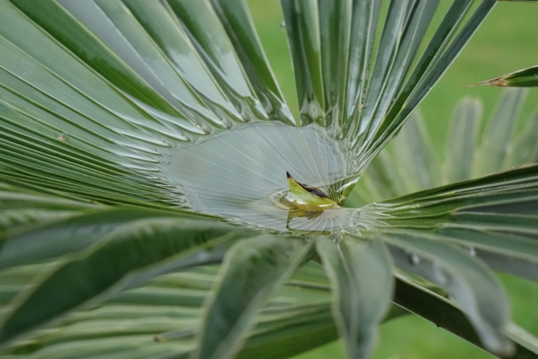 Foto vom Steiereschloessl